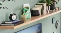 Trends Möbel Wandboard Angebot