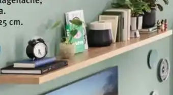 Trends Möbel Wandboard Angebot