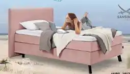 Trends Möbel Sansibar Boxspringbett Svendborg Angebot