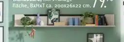 Trends Möbel Wandboard Valya Angebot