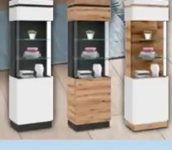 Trends Möbel Vitrine Asmus Angebot