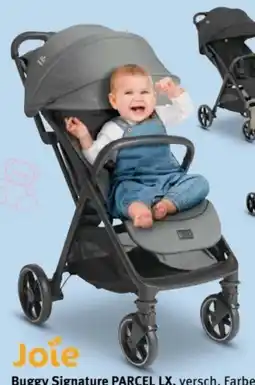 Trends Möbel Joie Buggy Signature Parcel LX Angebot