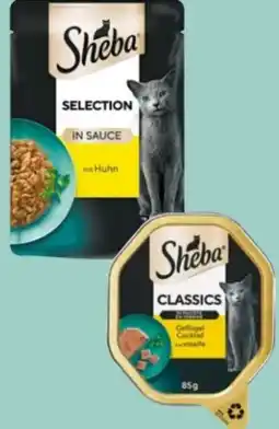 Rossmann Sheba Katzennahrung Angebot