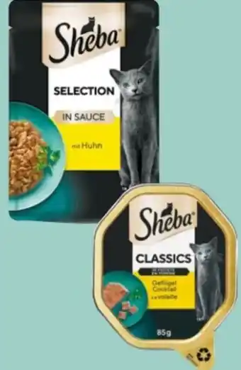 Rossmann Sheba Katzennahrung Angebot