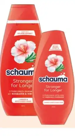 Rossmann Schwarzkopf Schauma Shampoo Angebot