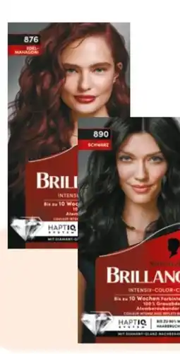 Rossmann Schwarzkopf Brillance Coloration Angebot