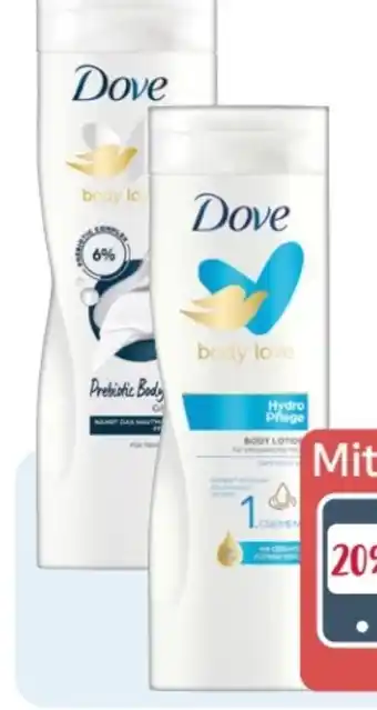 Rossmann Dove Body Milk Angebot