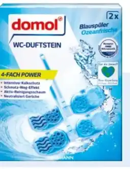 Rossmann Domol WC-Duftsteine 2in1 Angebot