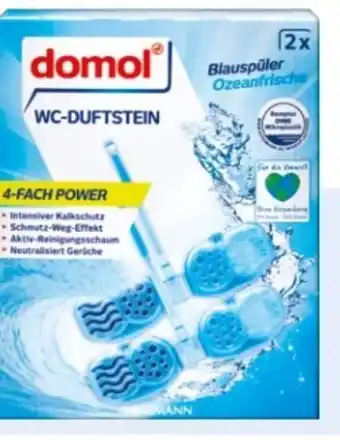 Rossmann Domol WC-Duftsteine 2in1 Angebot