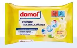 Rossmann Domol Feuchte Allzwecktücher Angebot