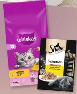 Rossmann Whiskas Katzen-Trockennahrung Angebot