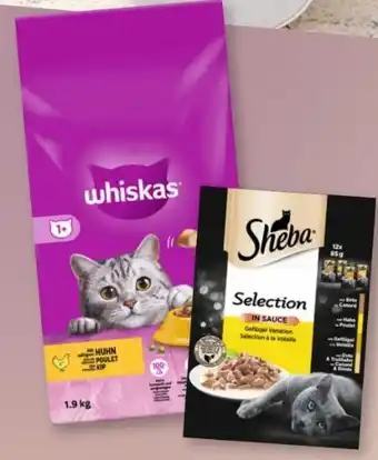 Rossmann Whiskas Katzen-Trockennahrung Angebot