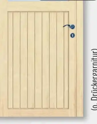 B1 Discount Baumarkt Holz-Nebeneingangstür Angebot