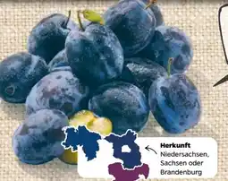 NETTO Go Regio Zwetschen Angebot