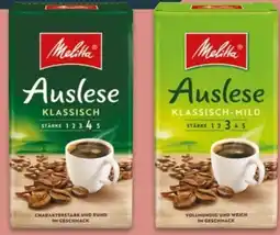 NETTO Melitta Auslese Klassisch Mild Angebot