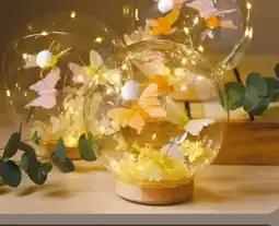 NETTO LED Glaskugel Angebot