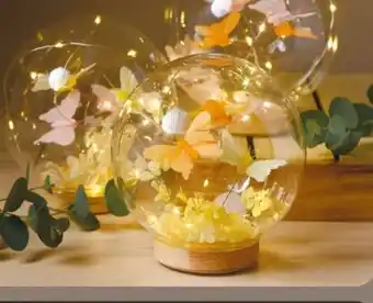 NETTO LED Glaskugel Angebot