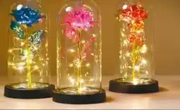 NETTO Dekorado LED-Rose im Glas Angebot