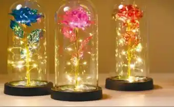 NETTO Dekorado LED-Rose im Glas Angebot