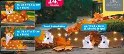 NETTO Dekorado LED-Herbsttiere Angebot