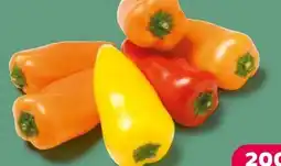 NETTO Mini Paprika Mix Angebot