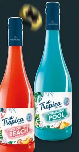 NETTO Katlenburger Tropica Angebot