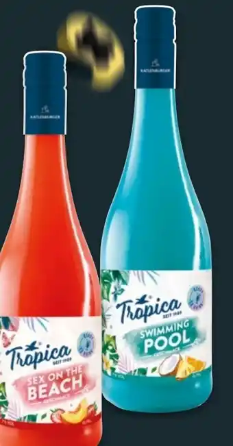 NETTO Katlenburger Tropica Angebot
