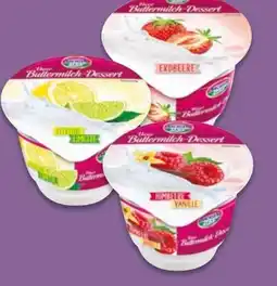 NETTO Sachsenmilch Unser Buttermilch-Dessert Angebot