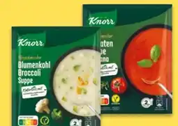NETTO Knorr Feinschmecker Suppen Angebot
