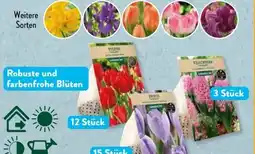 Aldi Süd Gardenline Premium-Blumenzwiebeln Angebot