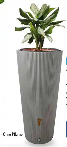 Aldi Süd 4rain Regenspeicher Vaso Angebot