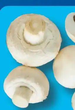Aldi Süd Champignons Angebot