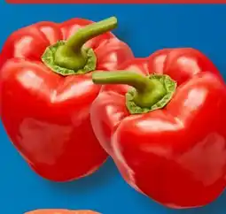 Aldi Süd Paprika Rot Angebot
