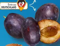 Aldi Süd Zwetschgen Angebot
