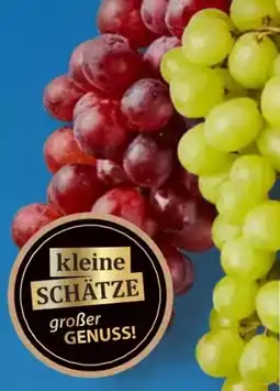 Aldi Süd Kleine Schätze Trauben Angebot