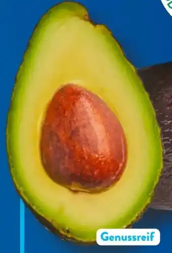Aldi Süd Avocado Angebot