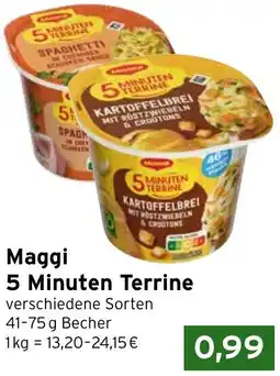 CAP Markt Maggi 5 Minuten Terrine Angebot