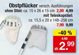 Zimmermann Obstpflücker ohne stiel Angebot