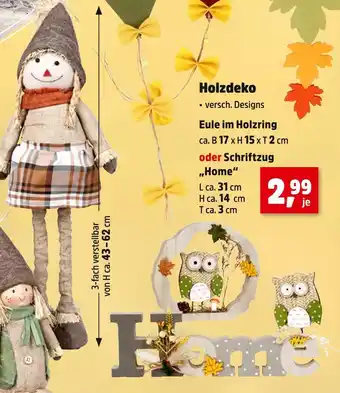 Thomas Philipps Eule im holzring Angebot