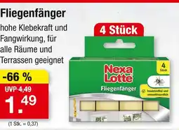 Zimmermann Nexa lotte fliegenfänger Angebot