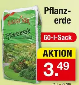 Zimmermann Augustiner pflanzerde Angebot