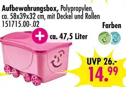 Möbel Boss Aufbewahrungsbox Angebot