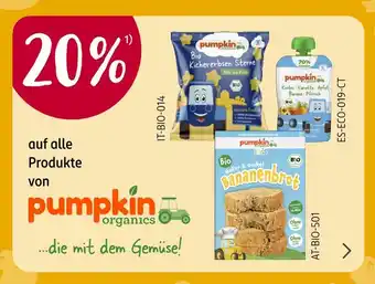 Rossmann Pumpkin organics 20% Angebot