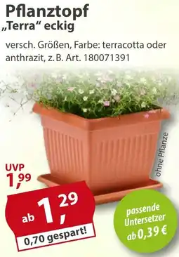 Sonderpreis Baumarkt Pflanztopf ,,Terra" eckig Angebot