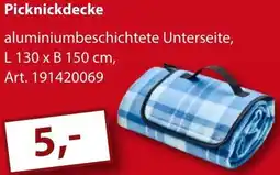 Sonderpreis Baumarkt Picknickdecke Angebot