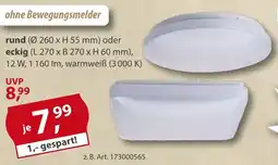 Sonderpreis Baumarkt LED-Wand und Deckenleuchte rund oder eckig Angebot
