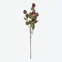 NKD Kunstzweig Eukalyptus zweifarbig, ca. 68 cm Angebot