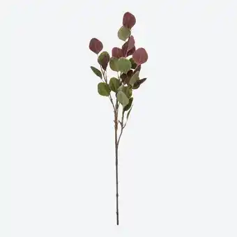 NKD Kunstzweig Eukalyptus zweifarbig, ca. 68 cm Angebot