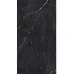 toom Baumarkt Breuer Rückwand 'Schwarz-Gold' seidenmatt 100 x 255 cm Angebot