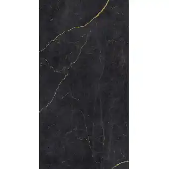 toom Baumarkt Breuer Rückwand 'Schwarz-Gold' seidenmatt 100 x 255 cm Angebot